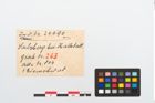 Etikett zu Eisenschwert (NHMW-PRAE-024490)
